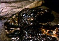 Creature close-up from Deadtime