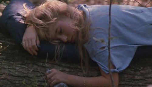 amy-fields-5