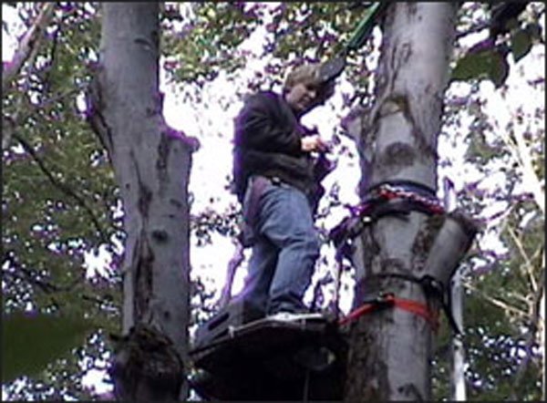 Super cool stunt man, Webster Whinery, who was a stunt coordinator on this summer's #1 blockbuster: PIRATES OF THE CARIBBEAN, rigs a tree 50 feet off the ground!