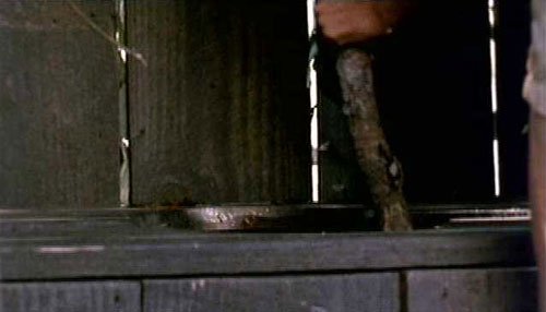 Sleepaway Camp II still